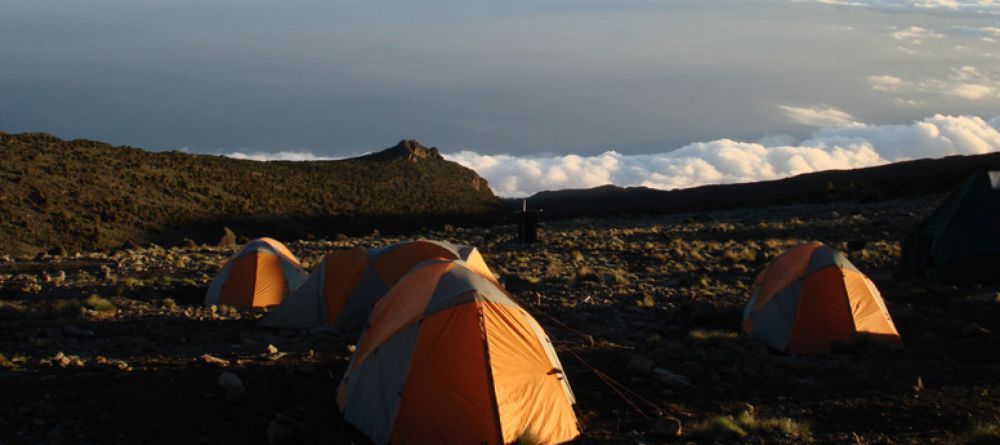 Mt. Kilimanjaro Western Approach - Image 1