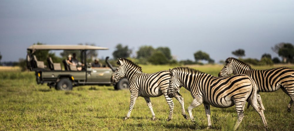 Mombo Camp, Moremi Game Reserve, Botswana - Image 22