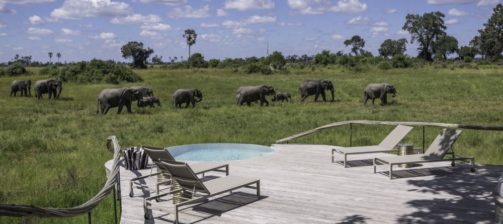 Pool at Little Mombo, Moremi Camp Reserve, Botswana (Dana Allen) - Image 10