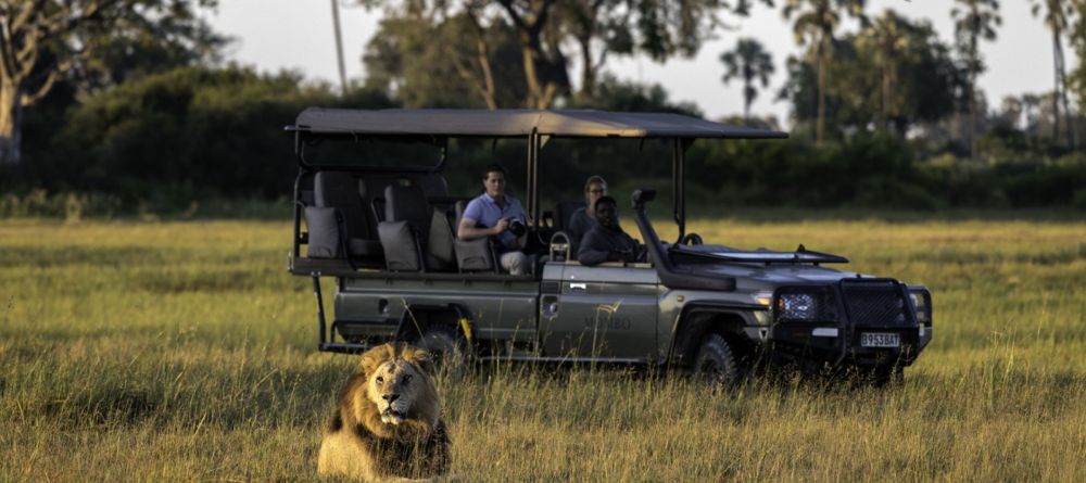 Game drive with lions - Image 3
