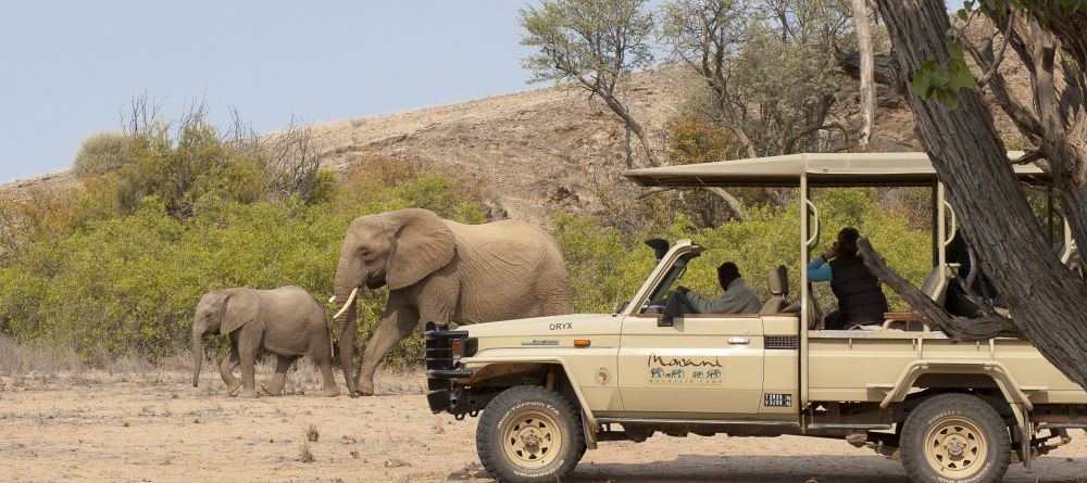 Game drive spotting a pair of elephants at Mowani Mountain Camp, Damaraland, Namibia - Image 10