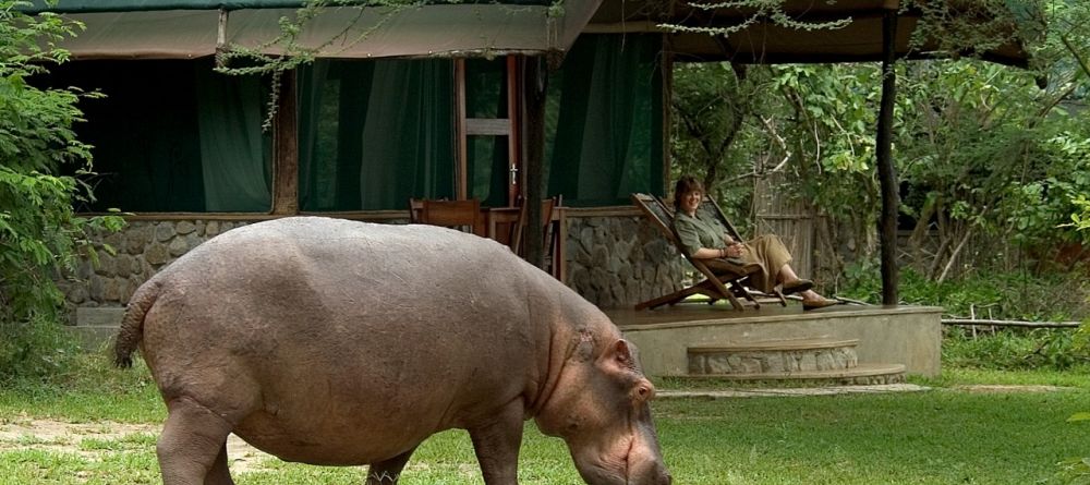 Mvuu Camp, Liwonde National Park, Malawi Â© Dana Allen - Image 2