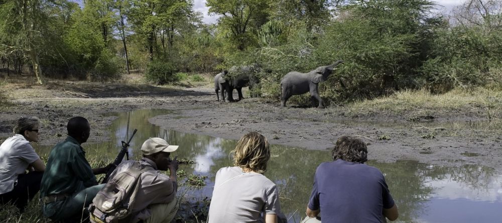Mvuu Wilderness Lodge, Liwonde National Park, Malawi Â© Dana Allen - Image 1