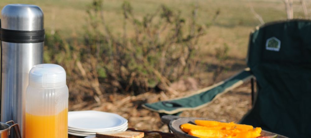 Mwagusi Camp, Ruaha National Park, Tanzania - Image 3