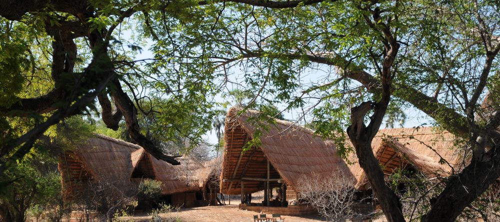Mwagusi Camp, Ruaha National Park, Tanzania - Image 5