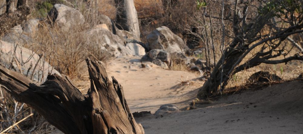 Mwagusi Camp, Ruaha National Park, Tanzania - Image 10