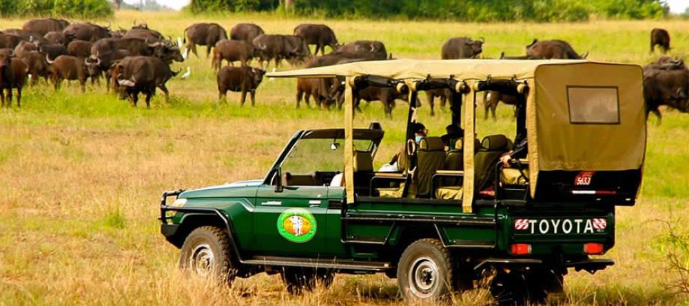 Mweya Safari Lodge, Queen Elizabeth National Park, Uganda - Image 17