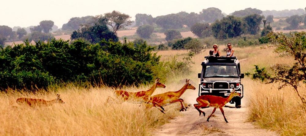 Mweya Safari Lodge, Queen Elizabeth National Park, Uganda - Image 18