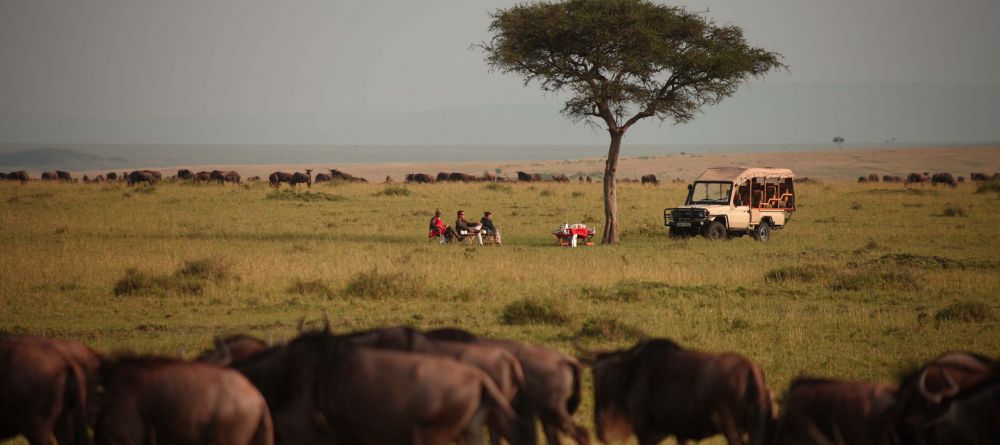 Bush Breakfast on the plains at Naibor Camp, Masai Mara National Reserve, Kenya - Image 11