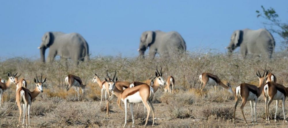 Safarihoek Lodge - view of plains - Image 7
