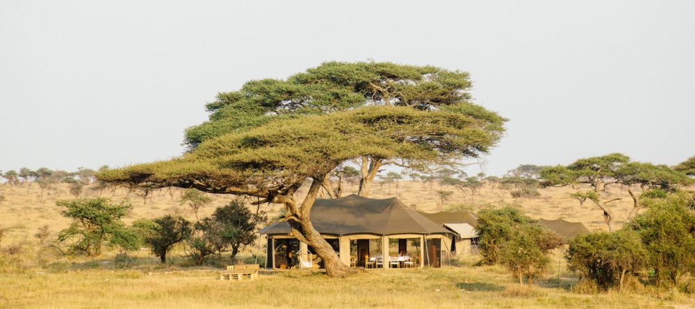 Namiri Plains Camp - Image 2