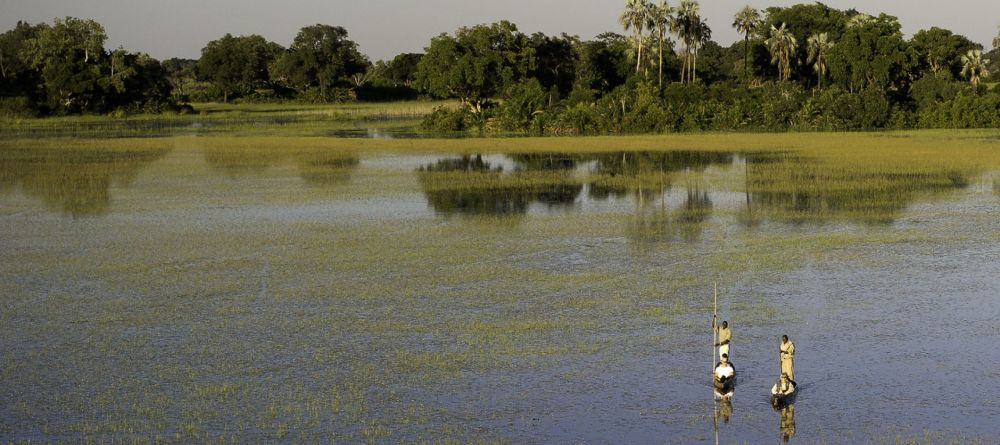 Boating on the flooded plains at Tubu Tree Camp, Okavango Delta, Botswana (Dana Allen) - Image 10