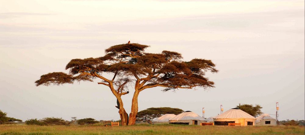 Nduara Loliondo Camp, Serengeti National Park, Tanzania - Image 8