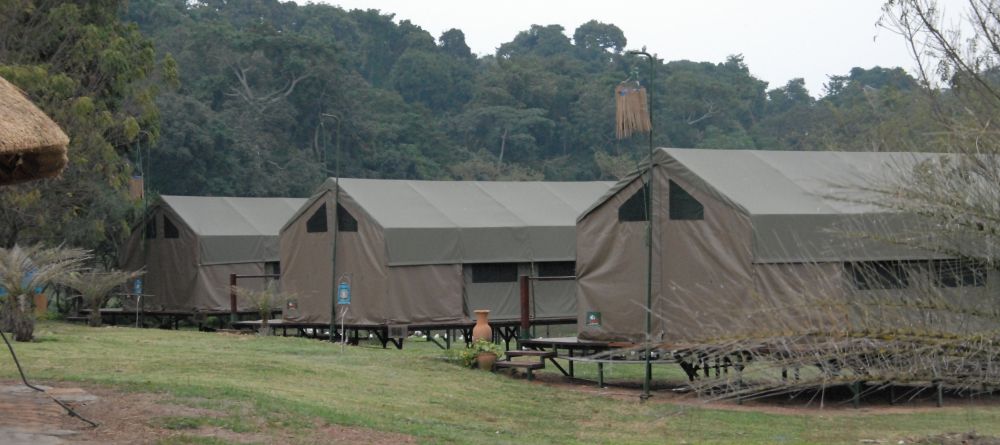 Tent exteriors at Ngamba Island Tented Camp, Ngamba Island, Uganda - Image 5