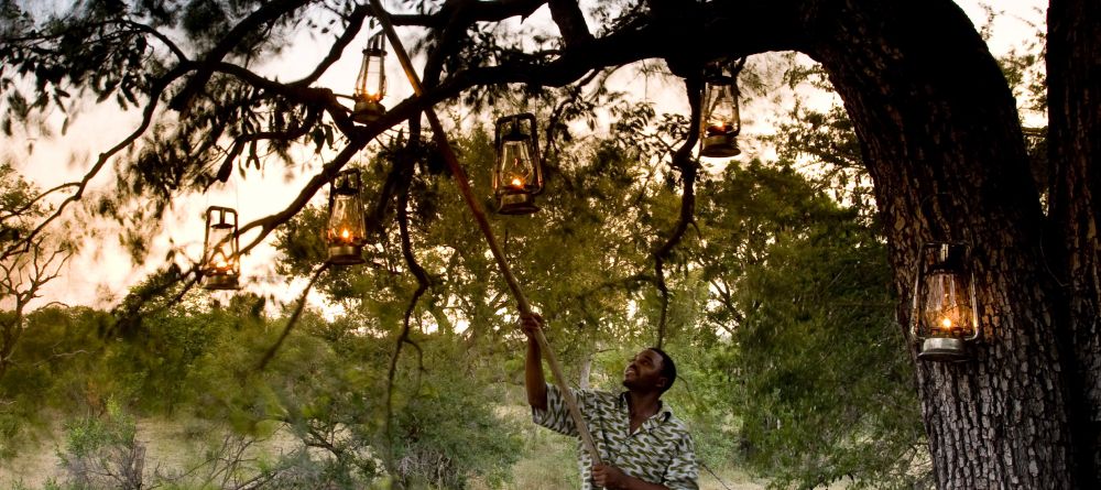 Ngala Tented Camp, Kruger National Park, South Africa Â© AndBeyond - Image 8