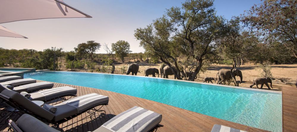 Ngala Safari Lodge - Image 1