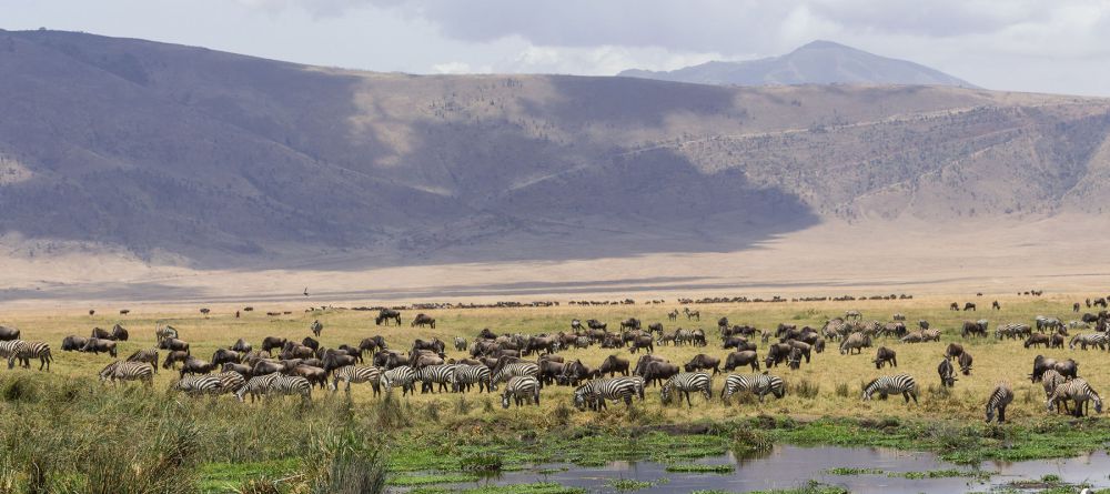 Entamanu Ngorongoro, Ngorongoro Crater, Tanzania - Image 13