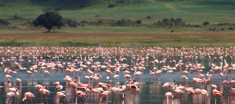 Ngorongoro Crater Lodge, Ngorongoro Crater, Tanzania Â© AndBeyond - Image 10