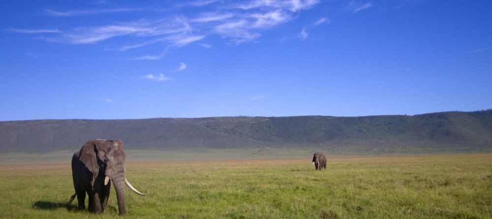 Entamanu Ngorongoro, Ngorongoro Crater, Tanzania - Image 7