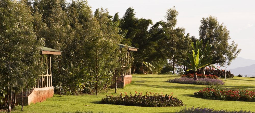 The view of the gardens at Ngorongoro Farm House, Karatu, Tanzania - Image 8