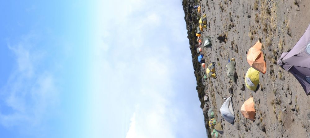 Lemosho Route, Kilimanjaro, Tanzania - Image 17