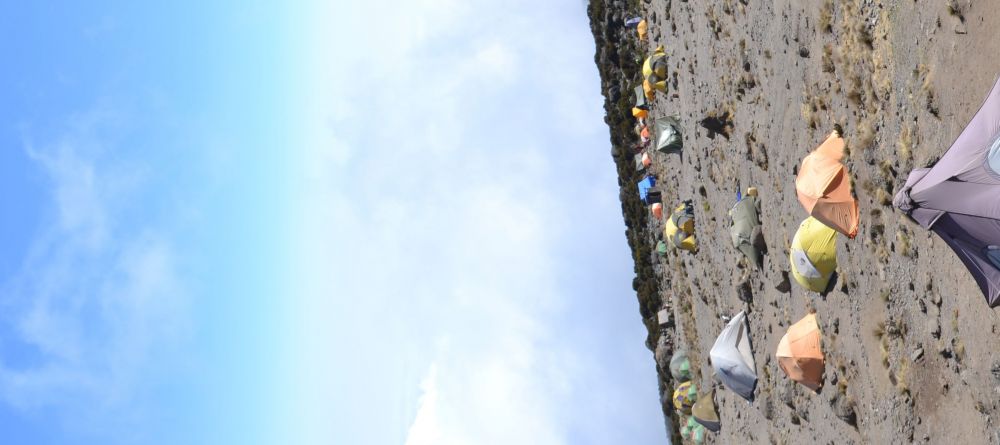 Lemosho Route, Kilimanjaro, Tanzania - Image 14