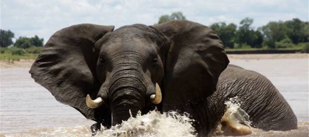 Chongwe River House, Lower Zambezi National Park, Zambia - Image 2