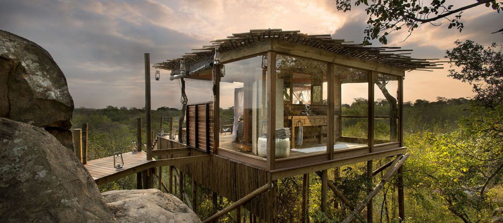 Treehouse - Image 6