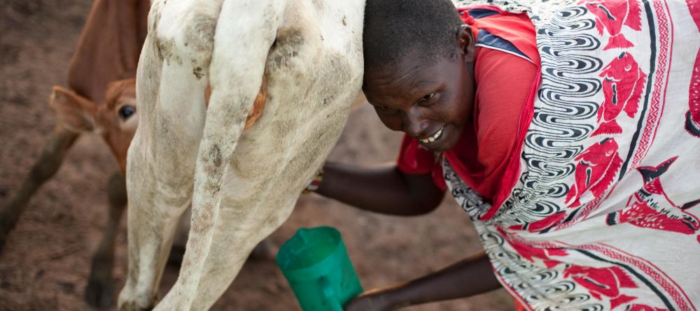 Get a taste of Masai village life at Mara House, Masai Mara National Reserve, Kenya - Image 13