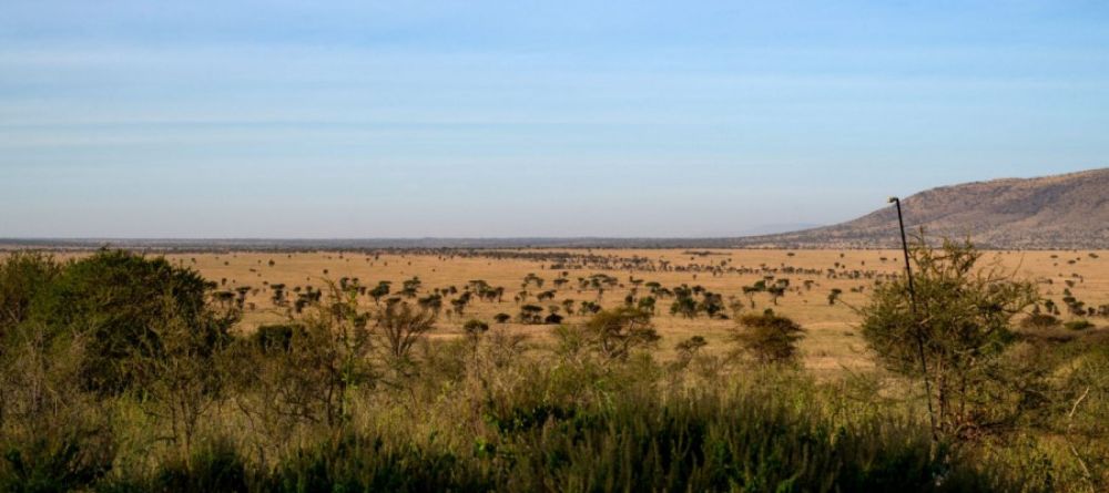 Nyikani Camp Central View - Image 4