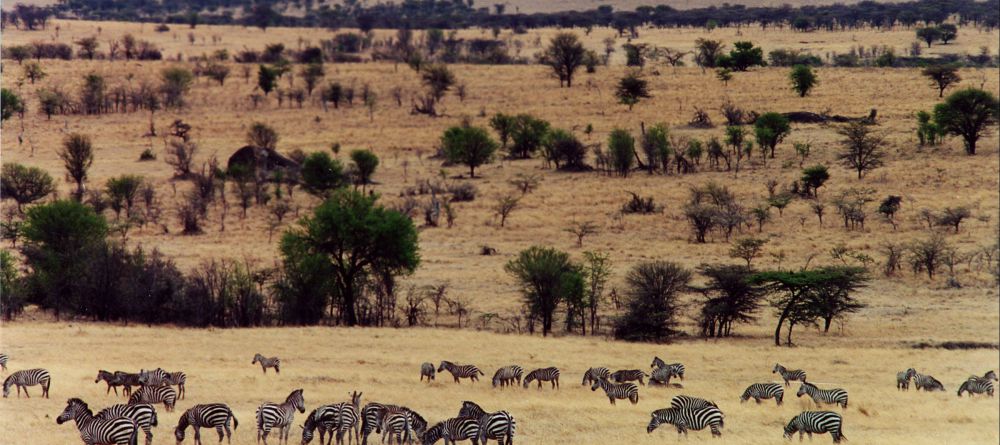 Thompson's Nyumba Serengeti - Image 1