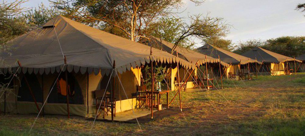 Thompson's Nyumba Serengeti - Image 2