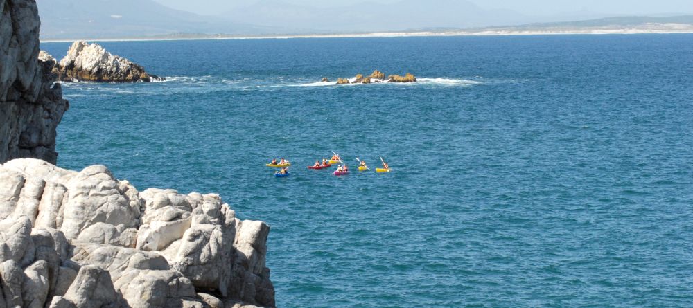 Ocean Eleven Guesthouse - Whales and Kayaks - Image 7