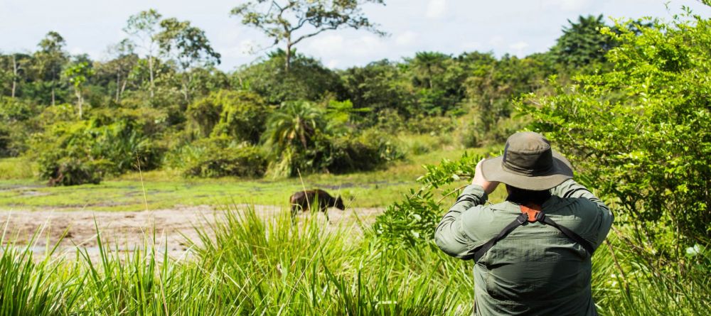 Ngaga Camp, Odzala National Park, Republic of Congo - Image 10