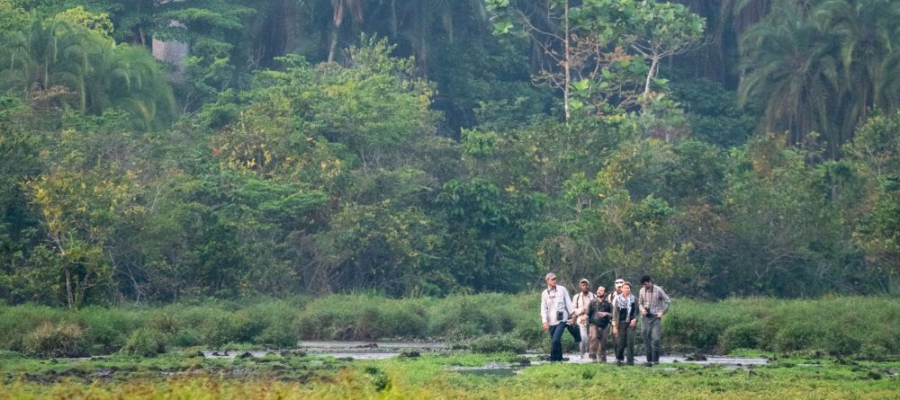 Lango Camp, Odzala National Park, Republic of Congo - Image 12