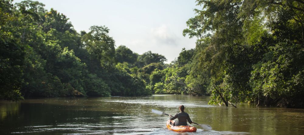 Lango Camp, Odzala National Park, Republic of Congo - Image 19