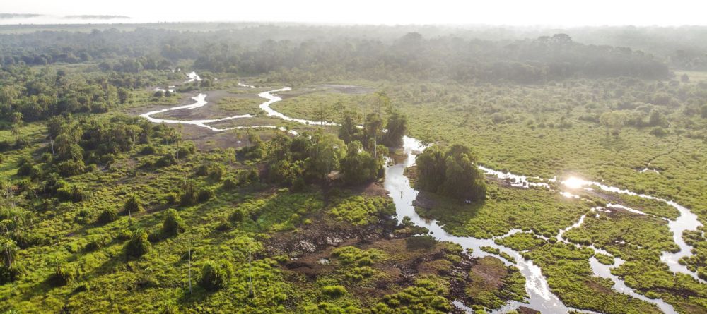 Lango Camp, Odzala National Park, Republic of Congo - Image 25