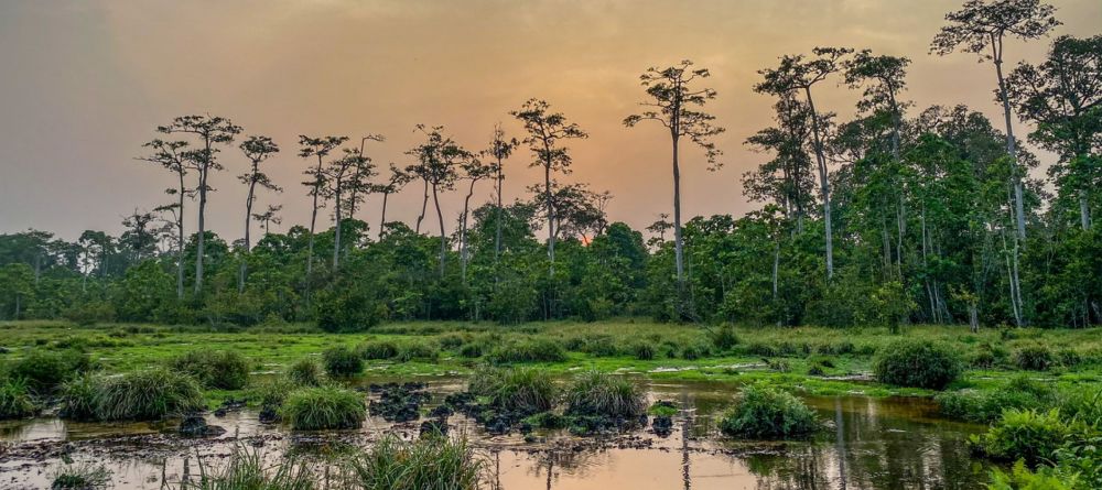 Lango Camp, Odzala National Park, Republic of Congo - Image 29