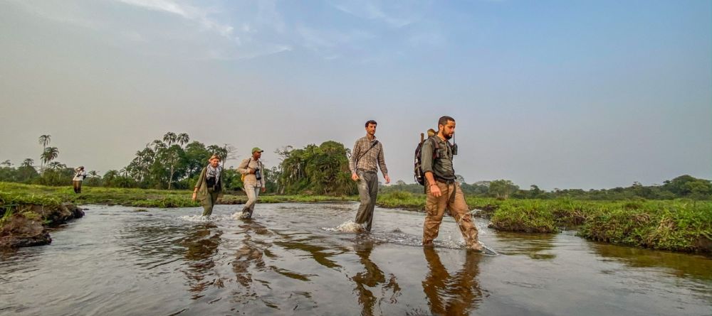 Lango Camp, Odzala National Park, Republic of Congo - Image 33