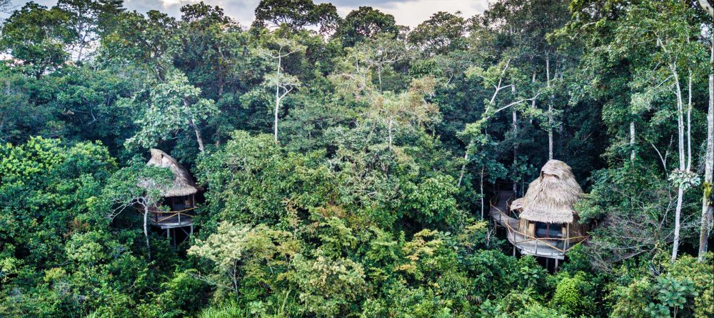 Lango Camp, Odzala National Park, Republic of Congo - Image 32