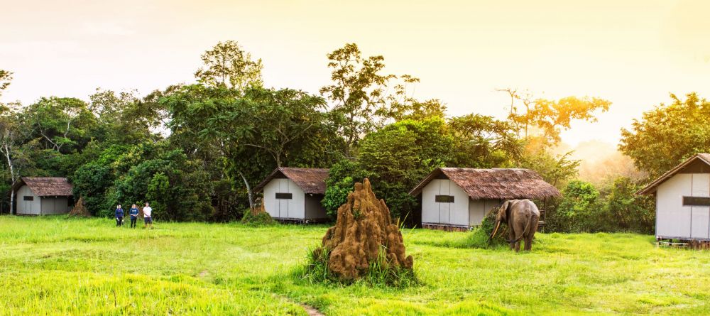 Mboko Camp, Odzala National Park, Republic of Congo - Image 20