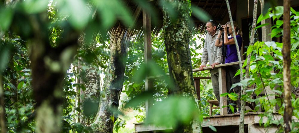 Mboko Camp, Odzala National Park, Republic of Congo - Image 19