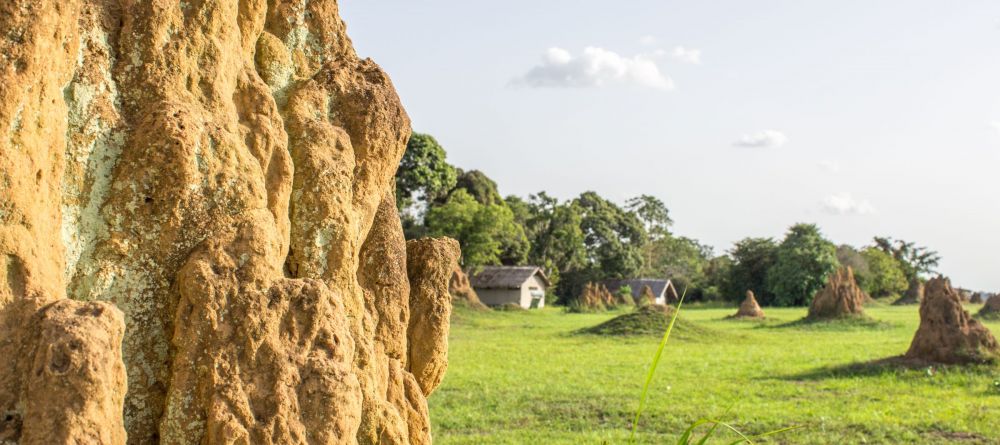 Mboko Camp, Odzala National Park, Republic of Congo - Image 2