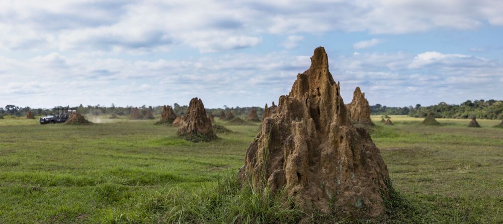 Mboko Camp, Odzala National Park, Republic of Congo - Image 6