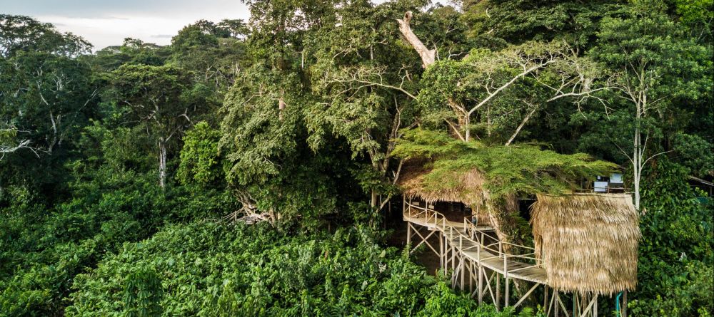Ngaga Camp, Odzala National Park, Republic of Congo - Image 11
