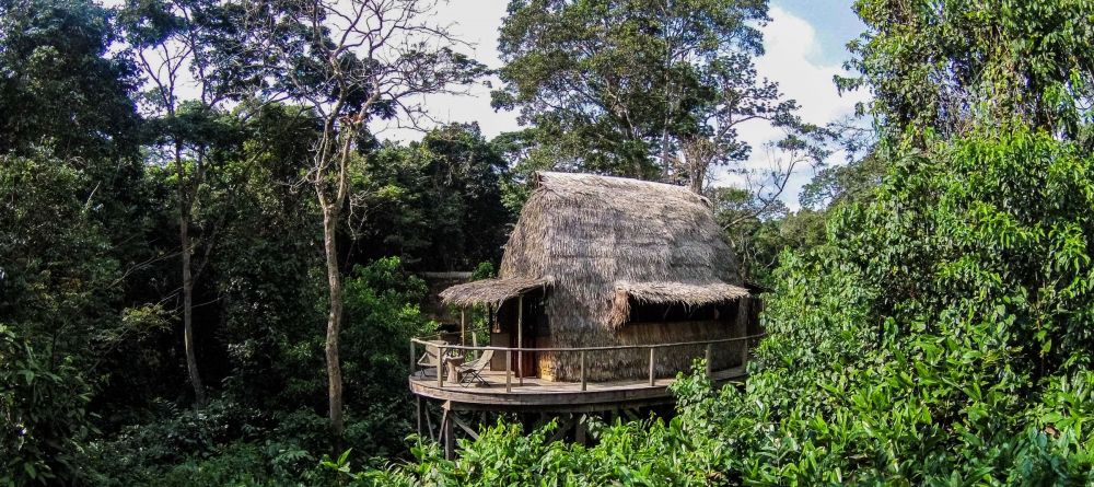 Ngaga Camp, Odzala National Park, Republic of Congo - Image 7