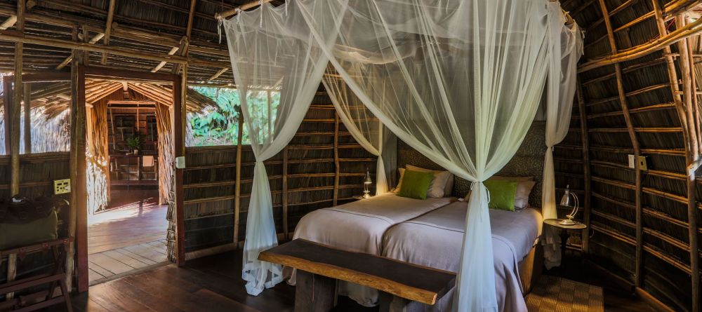 Ngaga Camp, Odzala National Park, Republic of Congo - Image 5