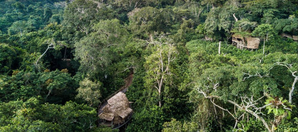Ngaga Camp, Odzala National Park, Republic of Congo - Image 18