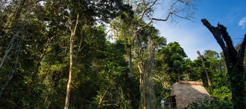 Ngaga Camp, Odzala National Park, Republic of Congo - Image 17