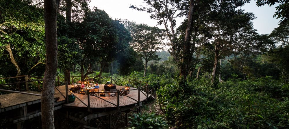 Ngaga Camp, Odzala National Park, Republic of Congo - Image 19